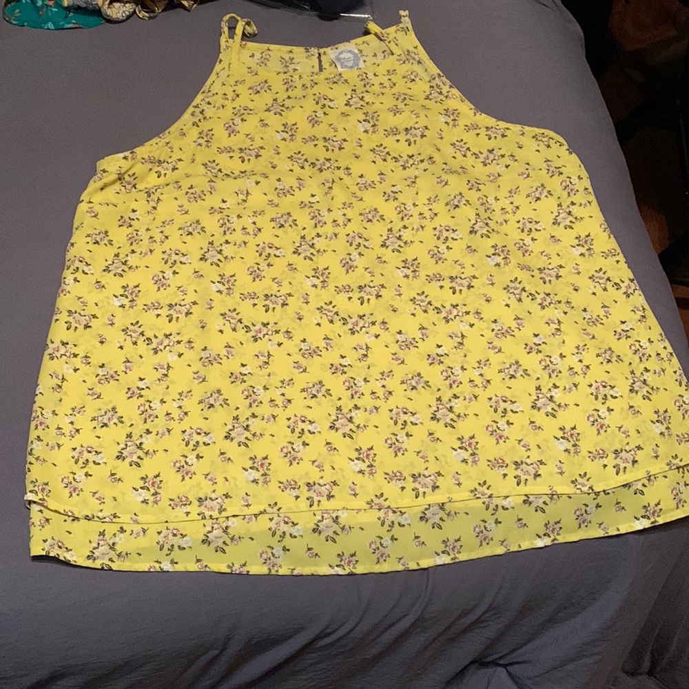 Francesca’s Blue Rain XL top